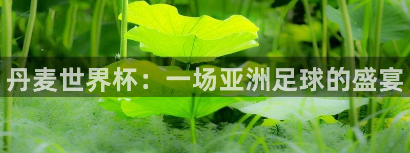 免费看足球直播比赛:丹麦世界杯:一场亚洲足球的盛宴
