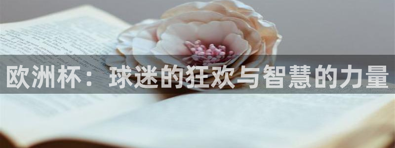 世界杯 直播:欧洲杯:球迷的狂欢与智慧的力量