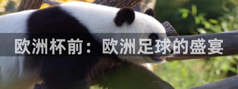 2026世界杯德国队阵容:欧洲杯前:欧洲足球的盛宴
