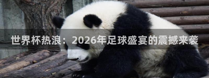 足球世界杯2026年赛程时间表:世界杯热浪:2026年足球盛宴的震撼来袭