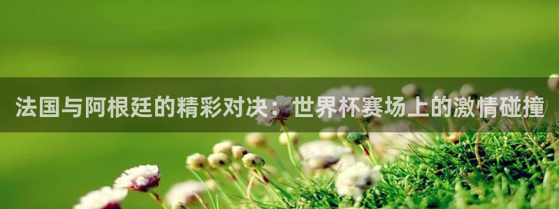 2026世界杯预选赛:法国与阿根廷的精彩对决:世界杯赛场上的激情碰撞