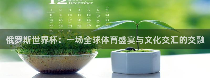 2026足球世界杯赛程:俄罗斯世界杯:一场全球体育盛宴与文化交汇的交融
