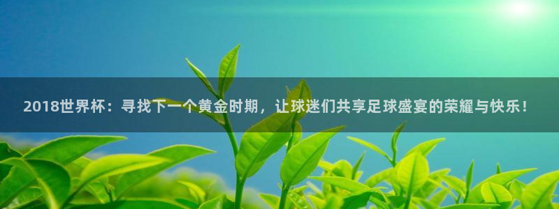 2026世界杯日期:2018世界杯:寻找下一个黄金时期,让球迷们共享足球盛宴的荣耀与快乐!