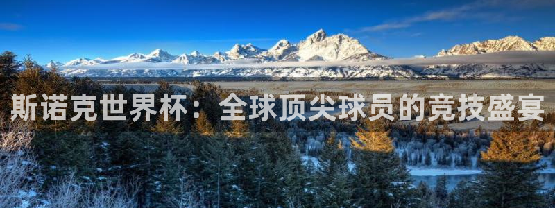 世界杯直播高清:斯诺克世界杯:全球顶尖球员的竞技盛宴